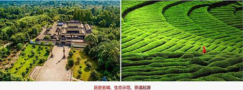 茶文化是历史，设计源于何方
